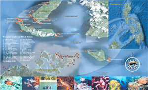 anilao-puerto galera-verde island dive map 
