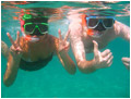 Fish Feeding and Snorkeling