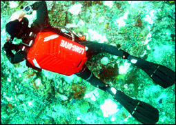 Rebreather Diving Long Dive