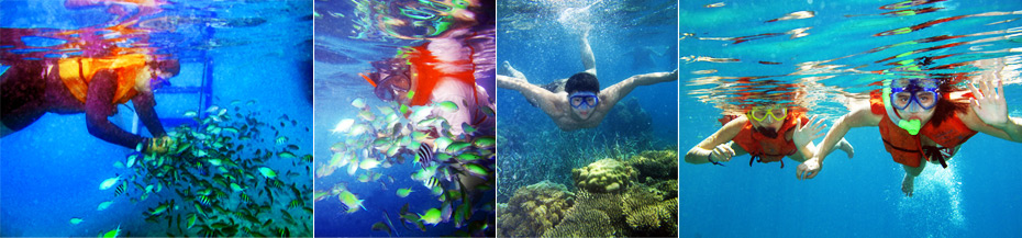 Snorkeling at Puerto Galera Snorkeling at Puerto Galera